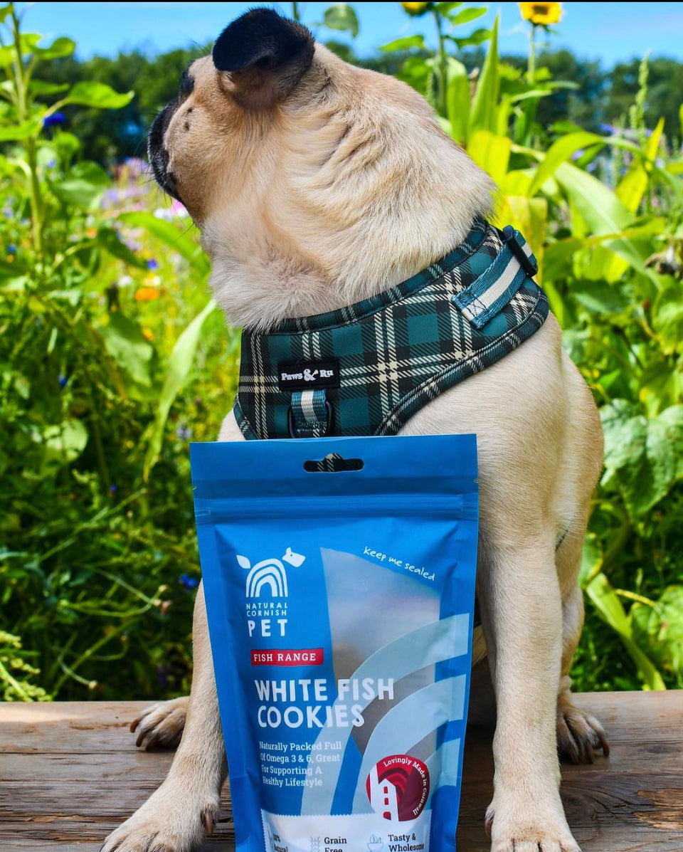 Cornish Whitefish & Potato Cookies for Dogs
