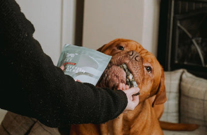 Cornish Fish Fingers for Dogs