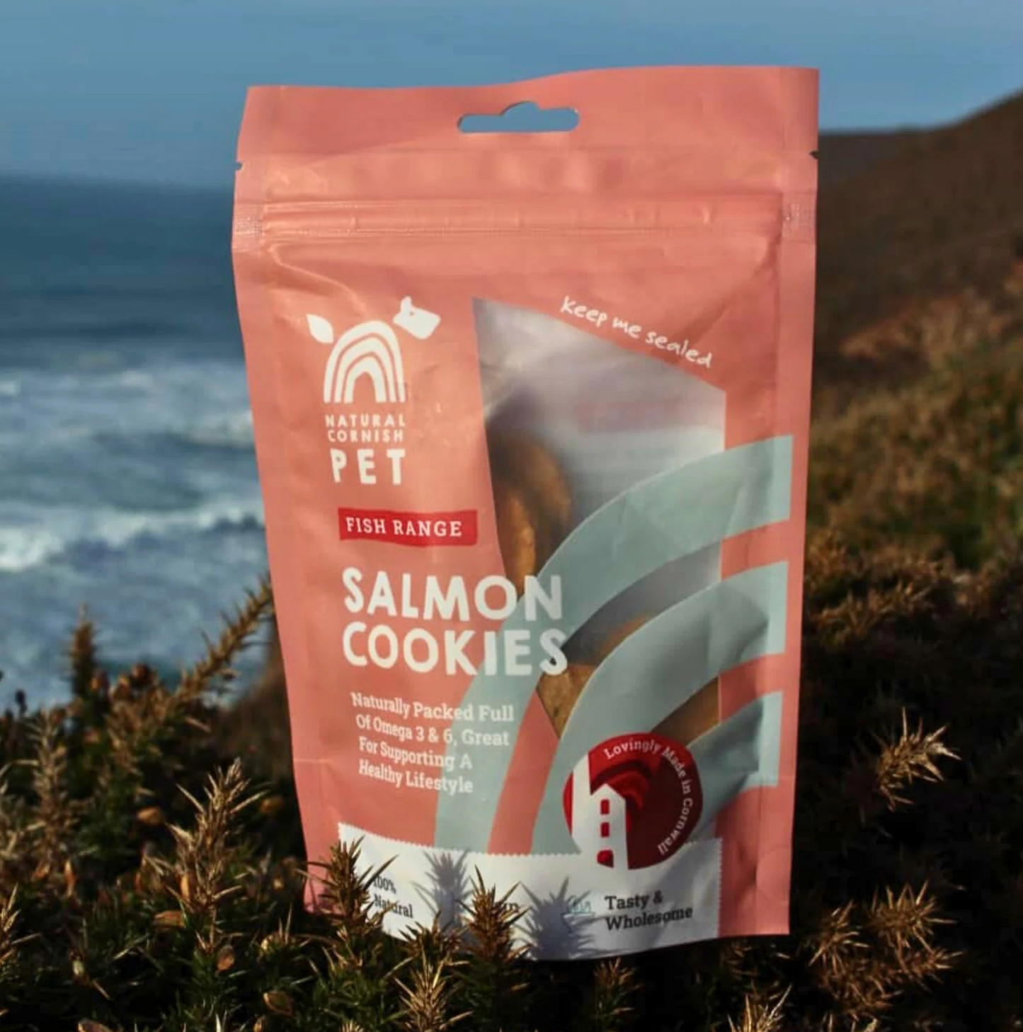 Cornish Salmon Cookies for Dogs
