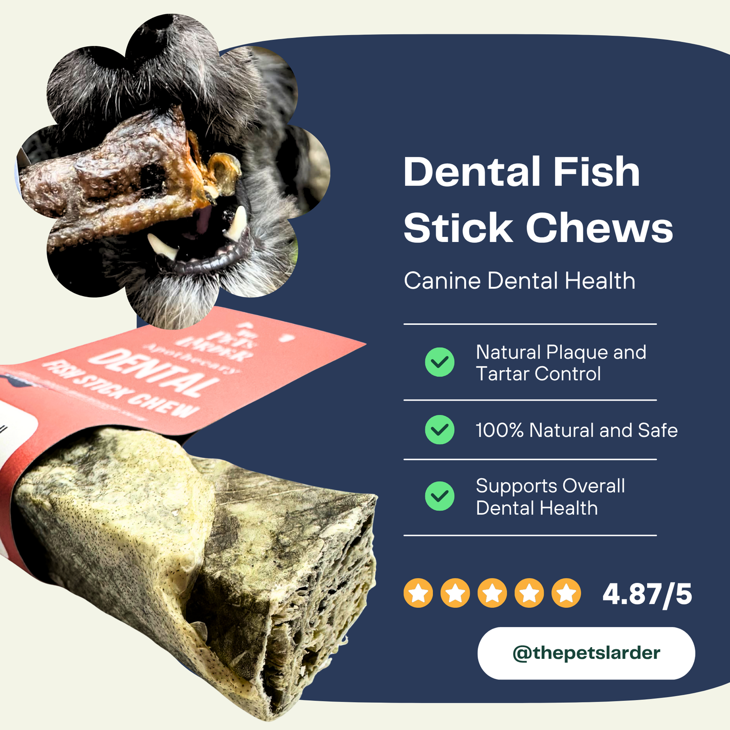 Dental Fish Stick Chews for canines with a dog eating one, product packaging, and brand information.