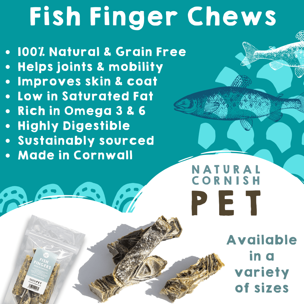 Cornish Fish Fingers for Dogs