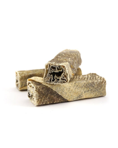 A small fish stick chew for dogs, showing a dried and rolled fish skin chews.