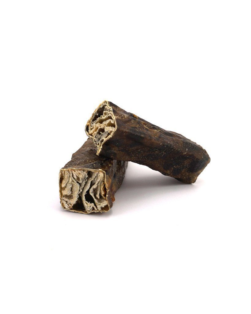 Two Wolf Fish Stick Chews placed on a white background.